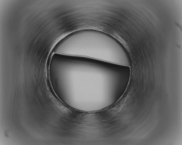 X0000091641028200708230944