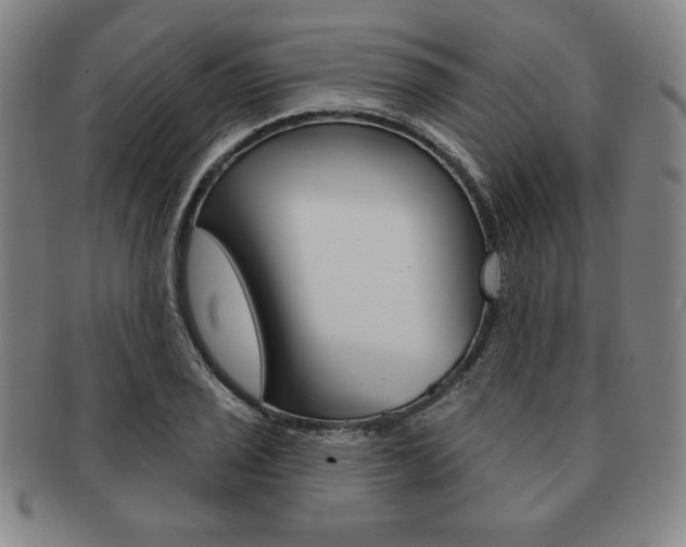 X0000091641029200708230944