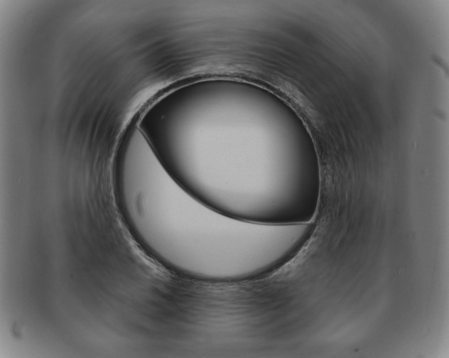 X0000091641030200708230944