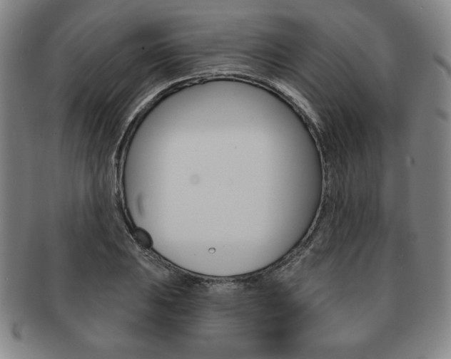 X0000091641031200708230944
