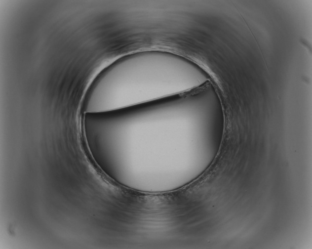 X0000091641032200708230944