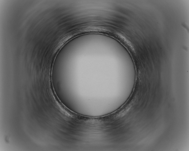X0000091641033200708230944