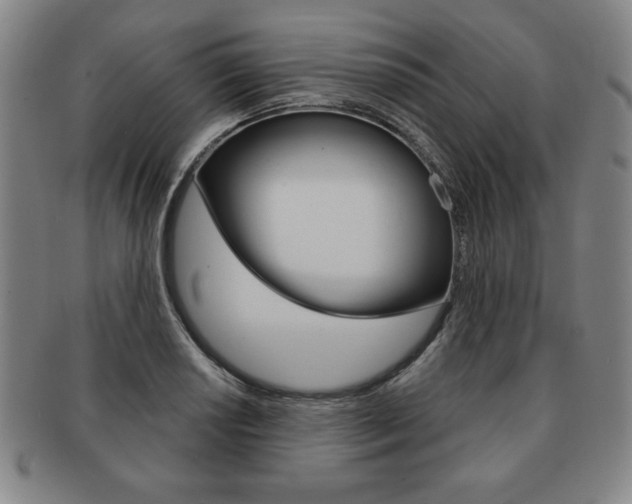 X0000091641034200708230944