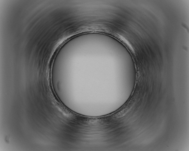 X0000091641035200708230944
