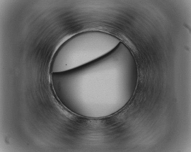 X0000091641036200708230944