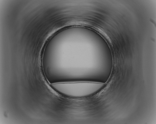 X0000091641037200708230944