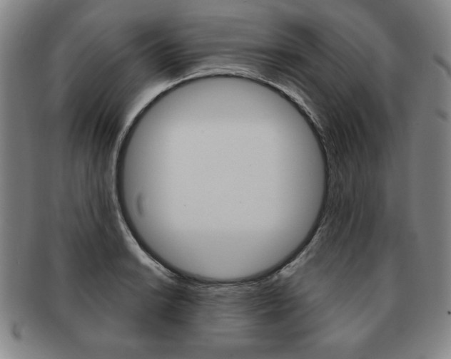 X0000091641038200708230944