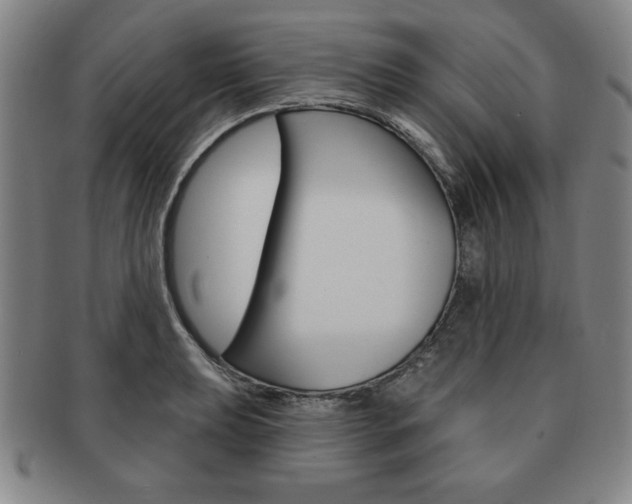 X0000091641039200708230944