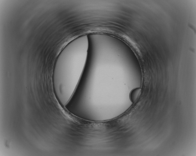 X0000091641041200708230944