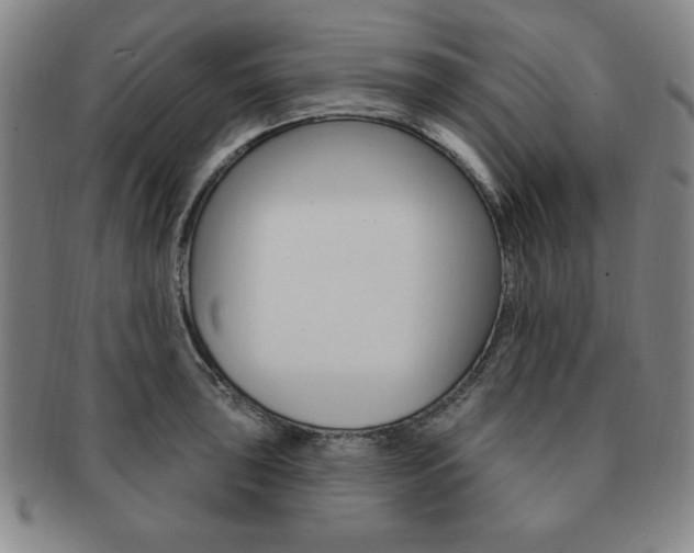 X0000091641043200708230944
