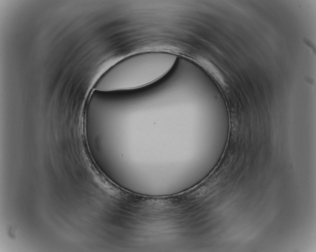 X0000091641044200708230944