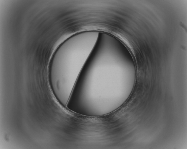 X0000091641045200708230944