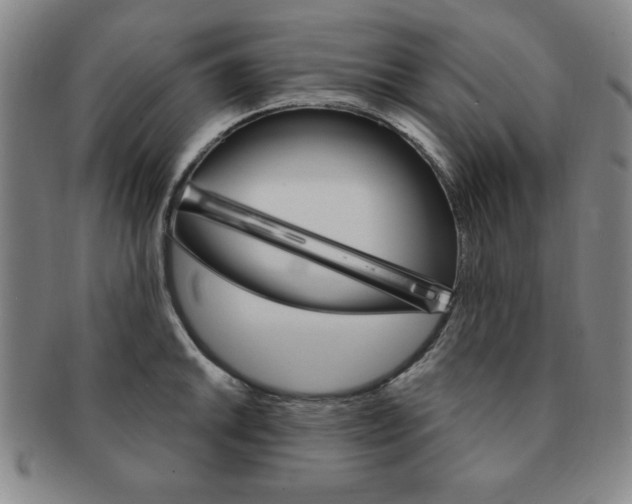 X0000091641046200708230944