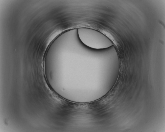 X0000091641047200708230944