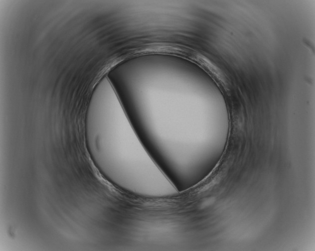 X0000091641049200708230944
