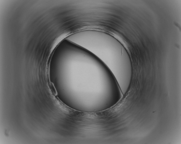 X0000091641050200708230944