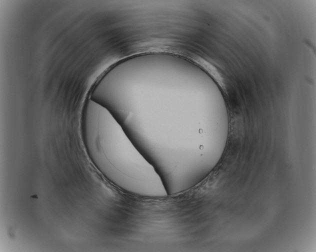 X0000091641051200708230944