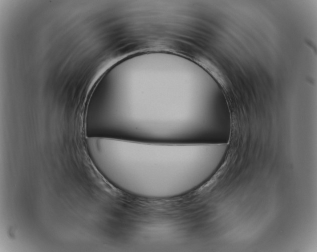 X0000091641052200708230944