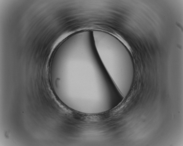 X0000091641053200708230944