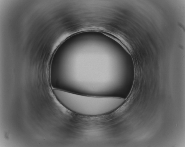 X0000091641054200708230944