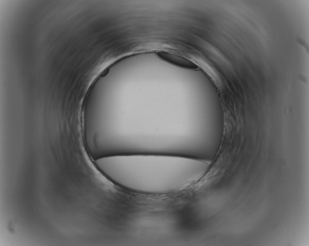 X0000091641055200708230944