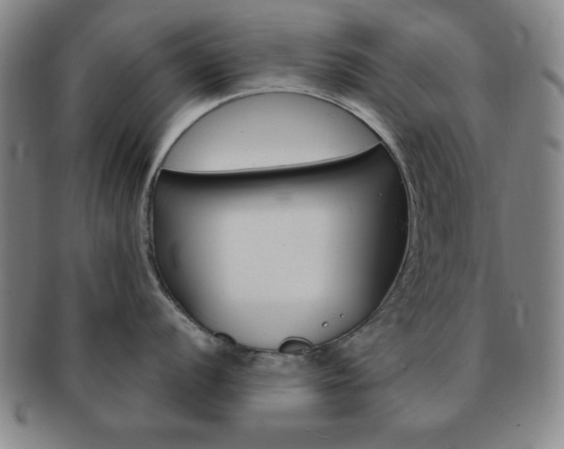 X0000091641056200708230944