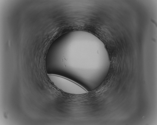 X0000091641057200708230943