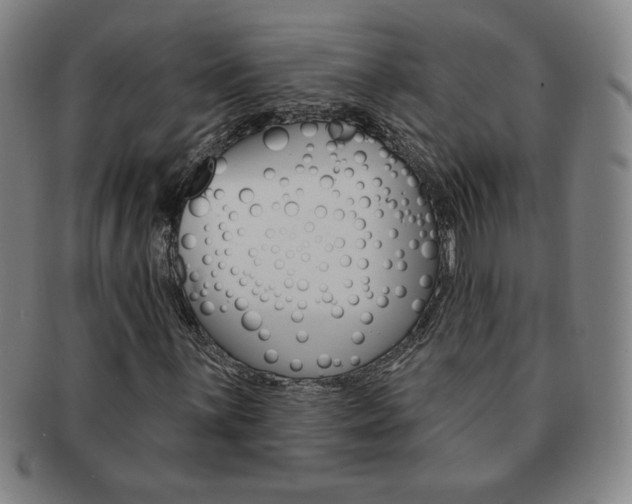 X0000091641059200708230943