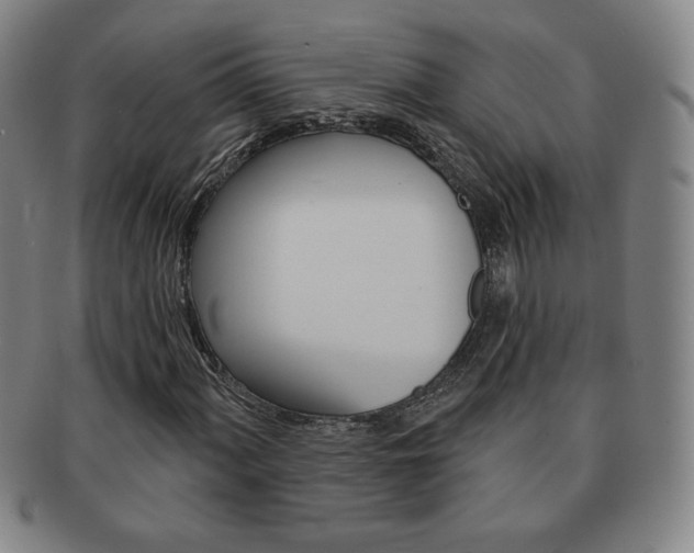 X0000091641060200708230943