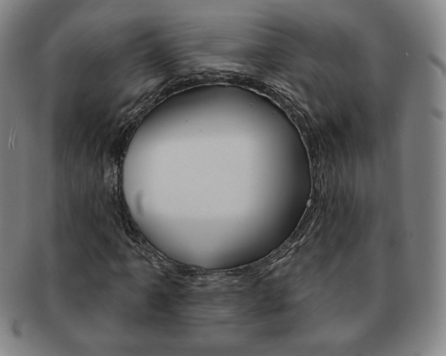 X0000091641061200708230943