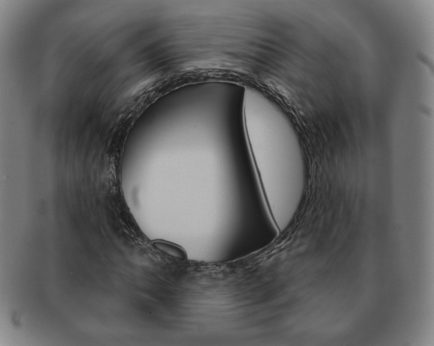 X0000091641062200708230943