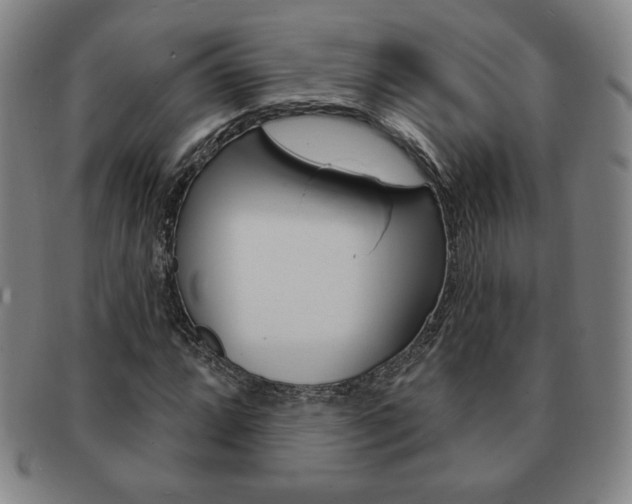 X0000091641064200708230943
