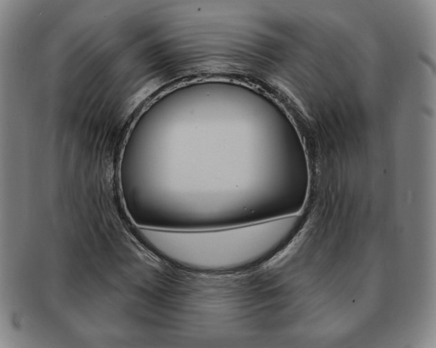 X0000091641065200708230943