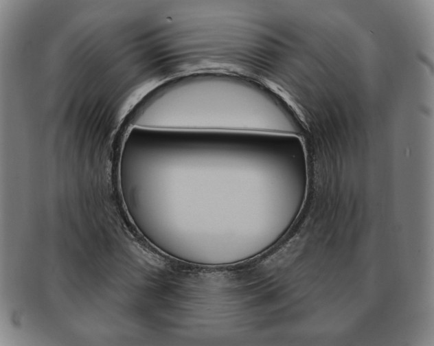 X0000091641066200708230943
