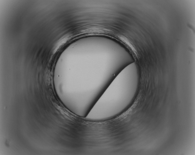 X0000091641067200708230943