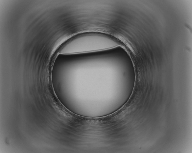 X0000091641069200708230943