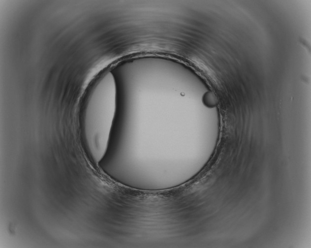 X0000091641070200708230943