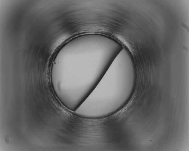 X0000091641071200708230943