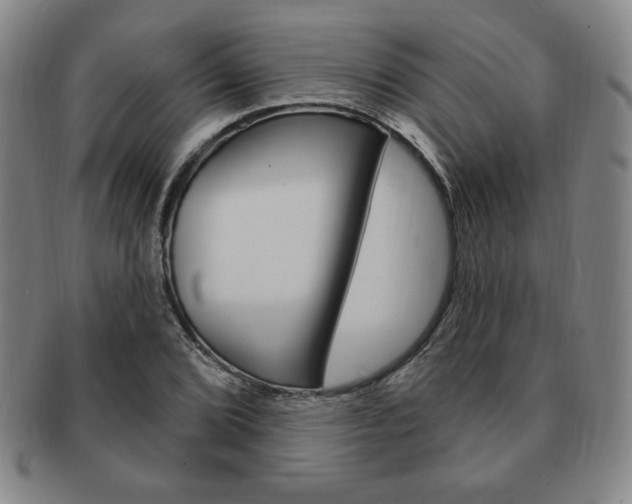 X0000091641072200708230943