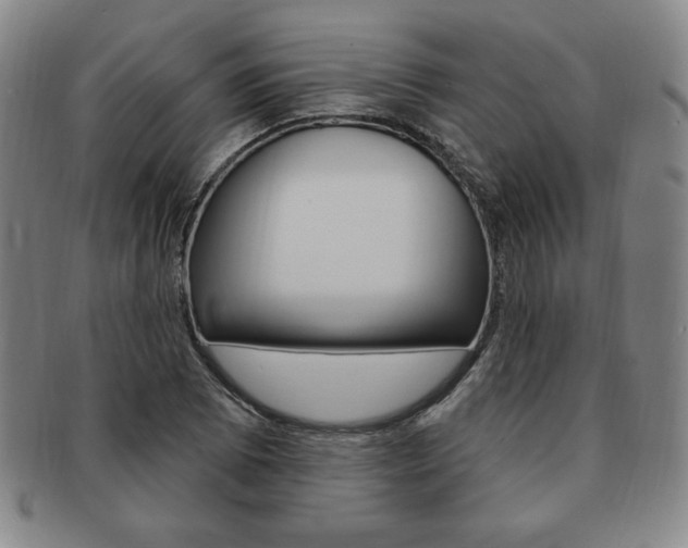 X0000091641073200708230943