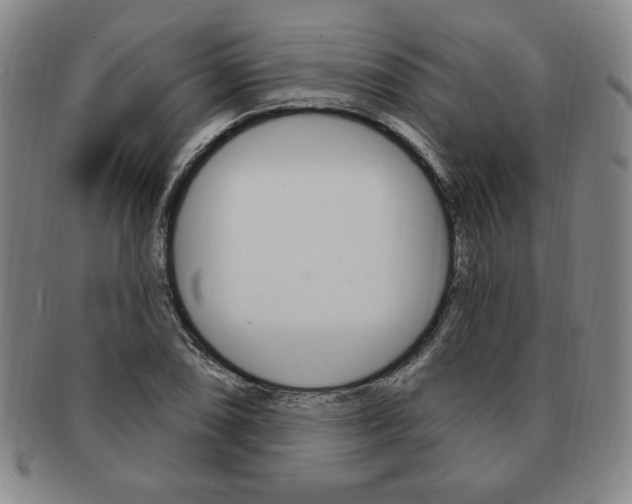 X0000091641074200708230943