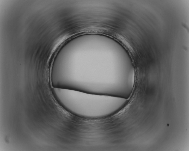 X0000091641075200708230943