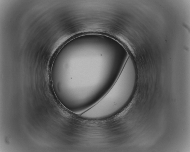 X0000091641077200708230943