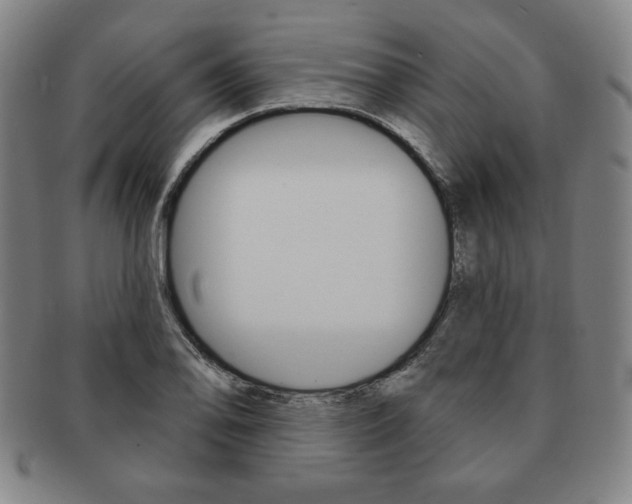 X0000091641078200708230943