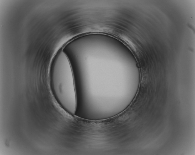 X0000091641080200708230943