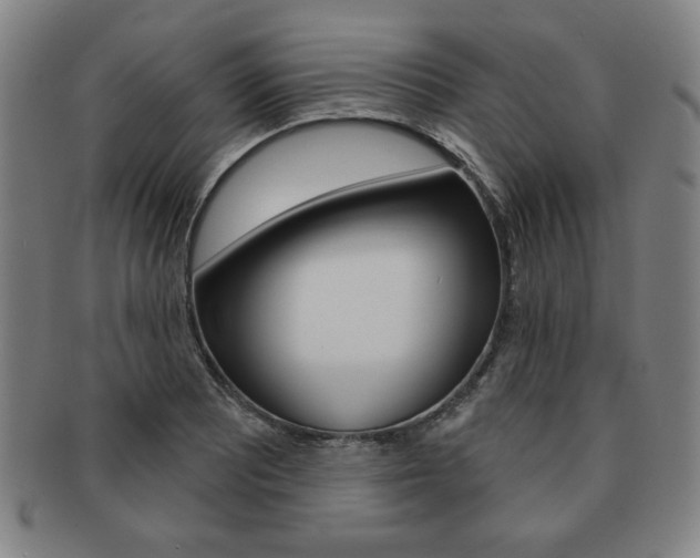X0000091641081200708230943