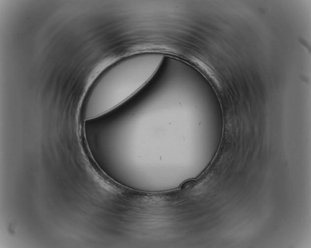 X0000091641082200708230943