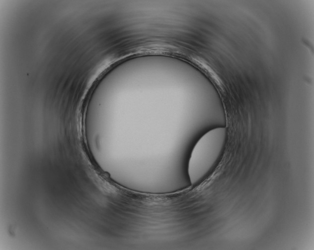 X0000091641083200708230943