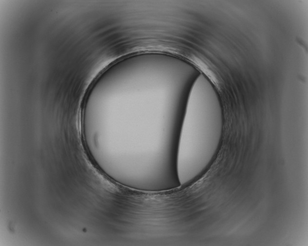 X0000091641084200708230943