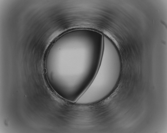 X0000091641085200708230943